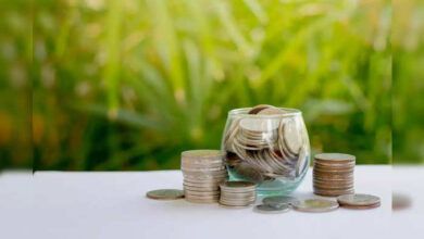 एचडीएफसी टॉप 100 फंड का नाम बदलेगा: 1 जनवरी 2025 से होगा एचडीएफसी लार्ज कैप फंड