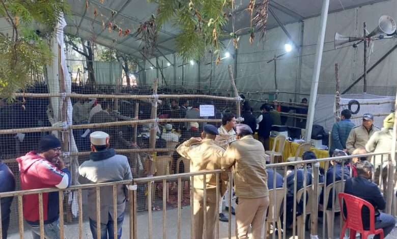 1200 675 23399133 thumbnail 16x9 nirdaliya उत्तराखंड निकाय चुनाव: निर्दलीयों की शानदार बढ़त