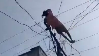 शराब