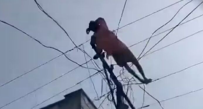 शराब